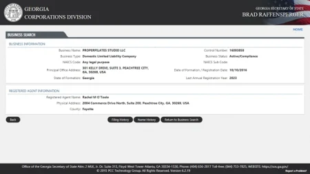 GA Secretary of State Business Search m