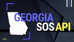 Understanding the GA Secretary of State Business Search Tool