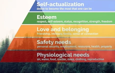 Which of Maslows Needs Are Related to Our Environmental Health