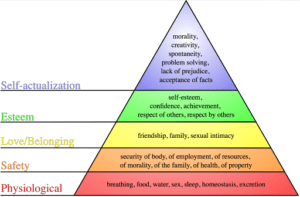 which of maslows needs are related to our environmental health1