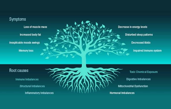 Root Cause Medicine III