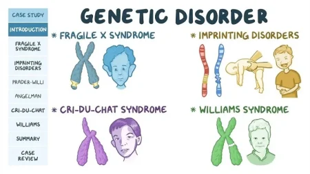 Understanding the Mechanisms of Hereditary Diseases