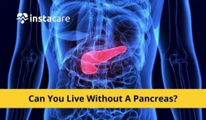 can you live without a pancreas