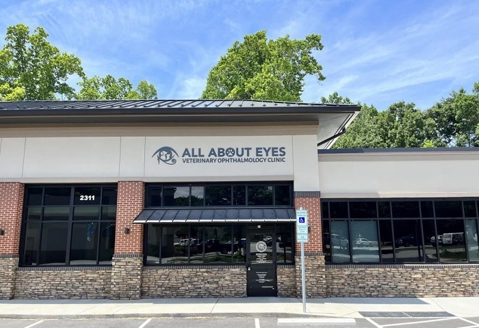 What Is Greensboro Eye Center