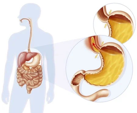 how many sphincters are in the human body
