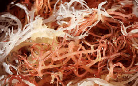 The Top Health Benefits of Sea Moss: Why This Superfood Is Trending Screenshot 2025 12 06 121207