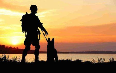 The Steps Involved in ADF Defense Pet Transport